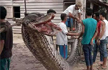 25-foot python attacks Indonesian man before being eaten